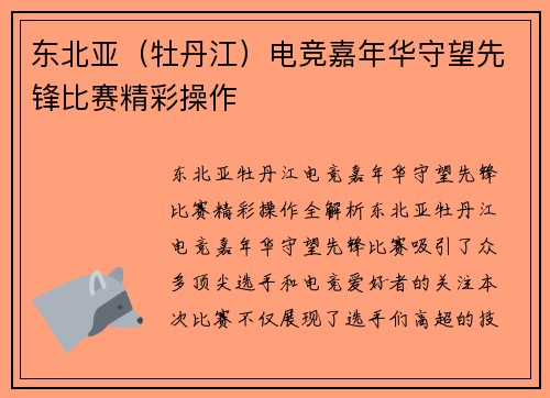 东北亚（牡丹江）电竞嘉年华守望先锋比赛精彩操作