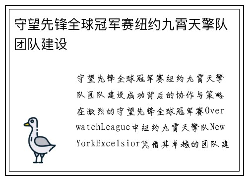 守望先锋全球冠军赛纽约九霄天擎队团队建设