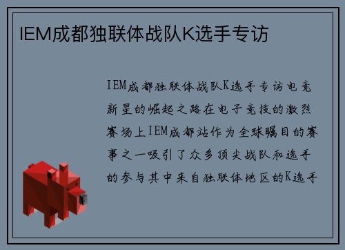 IEM成都独联体战队K选手专访