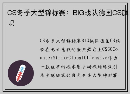 CS冬季大型锦标赛：BIG战队德国CS旗帜