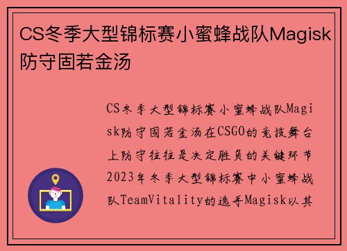 CS冬季大型锦标赛小蜜蜂战队Magisk防守固若金汤